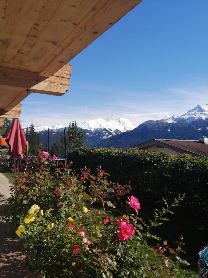 Haus Jessica Incl National Park Sommercard Mittersill Exterior foto
