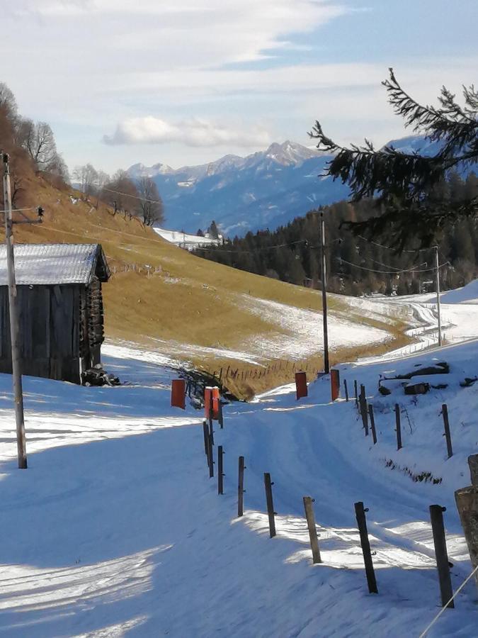 Haus Jessica Incl National Park Sommercard Mittersill Exterior foto